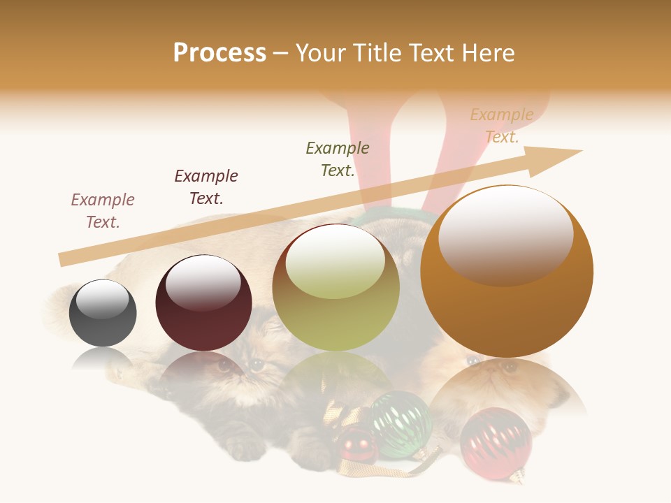 Pug Pet Purebred PowerPoint Template