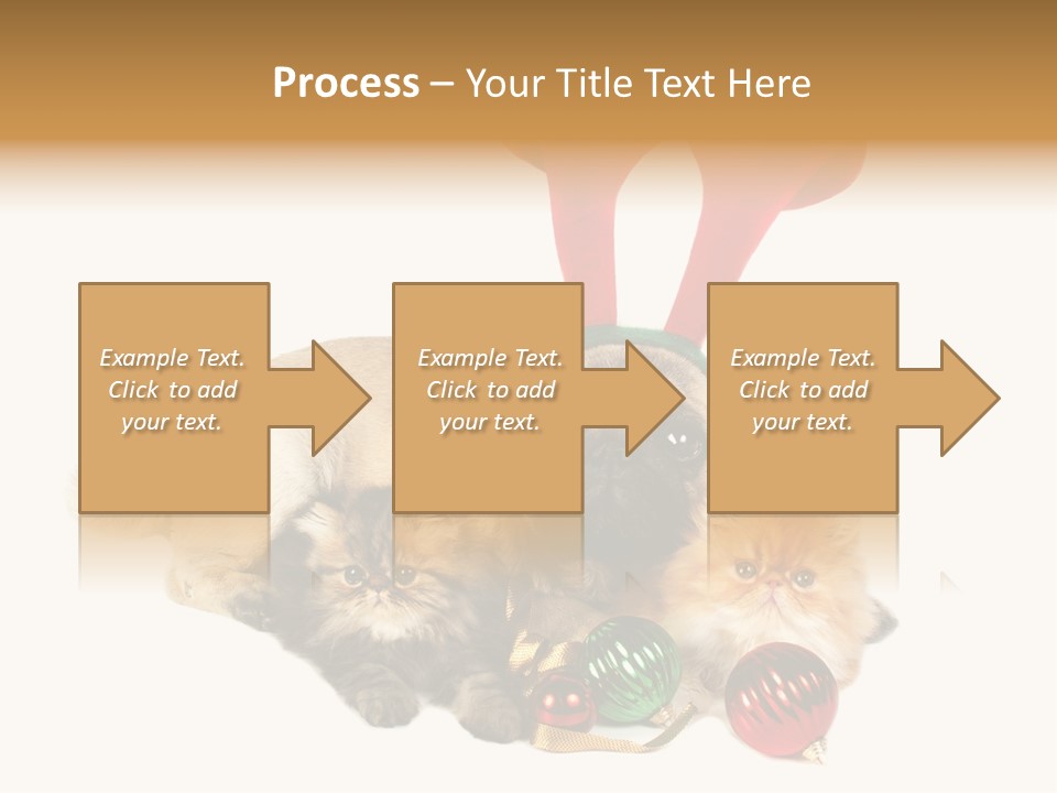 Pug Pet Purebred PowerPoint Template