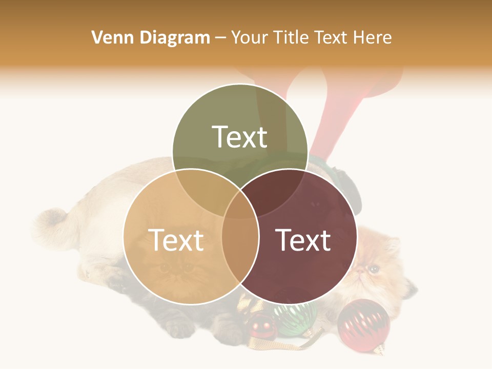 Pug Pet Purebred PowerPoint Template