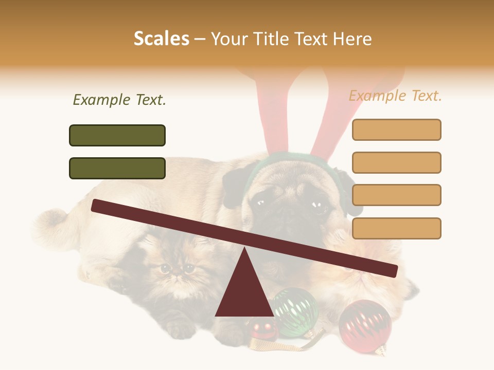 Pug Pet Purebred PowerPoint Template