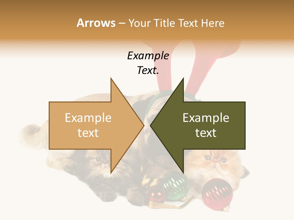 Pug Pet Purebred PowerPoint Template