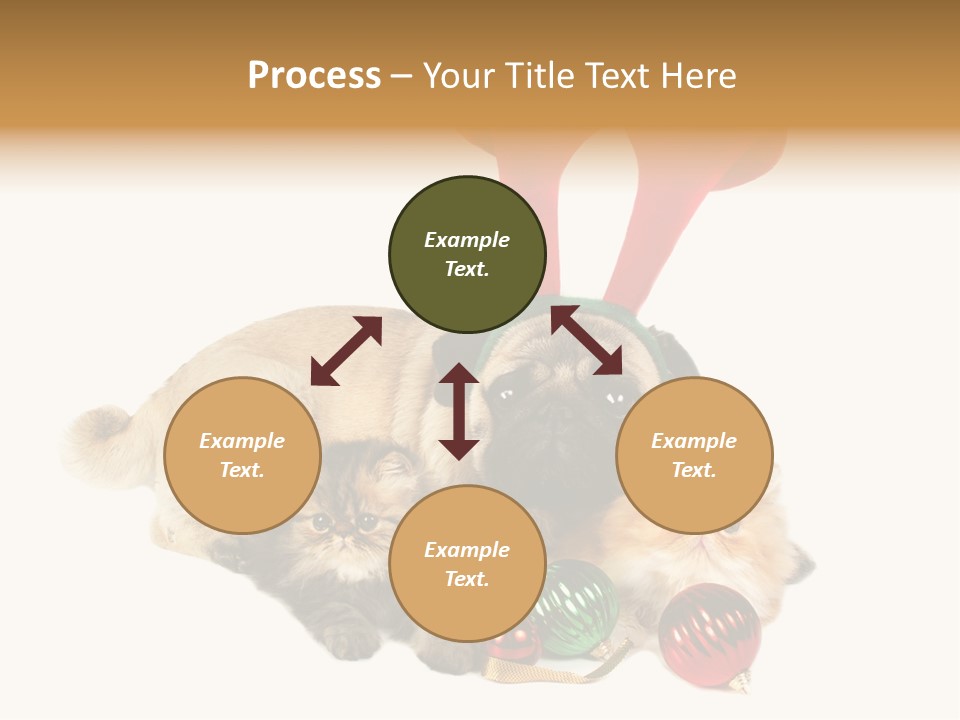 Pug Pet Purebred PowerPoint Template