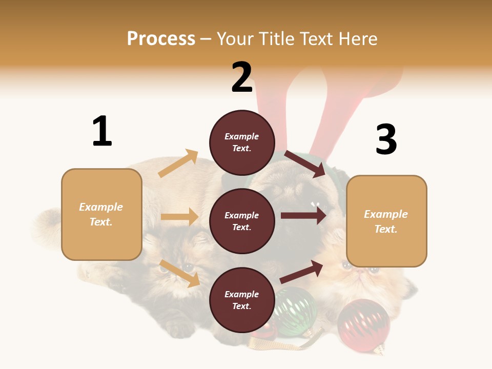 Pug Pet Purebred PowerPoint Template