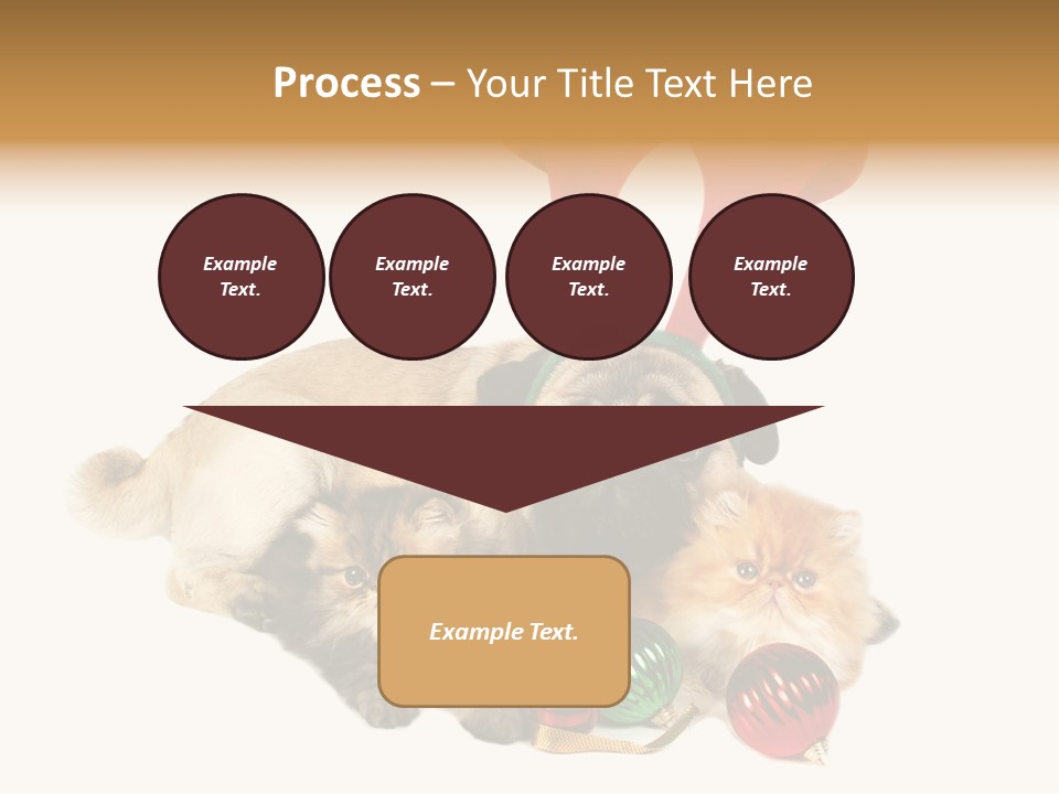 Pug Pet Purebred PowerPoint Template