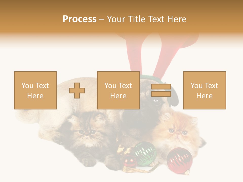 Pug Pet Purebred PowerPoint Template