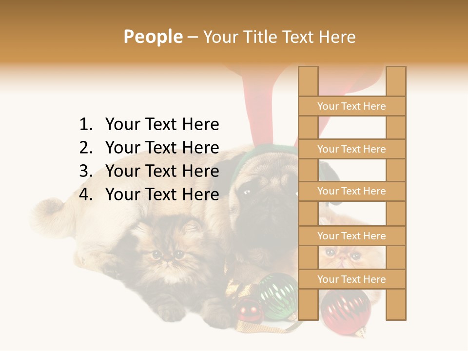 Pug Pet Purebred PowerPoint Template