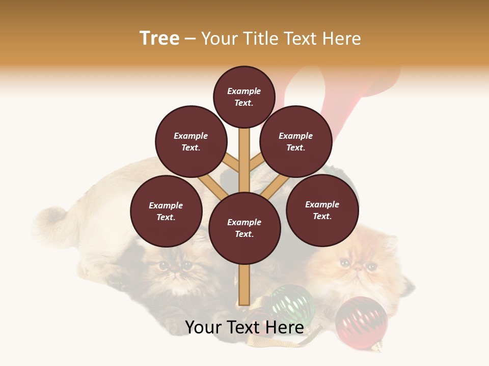 Pug Pet Purebred PowerPoint Template