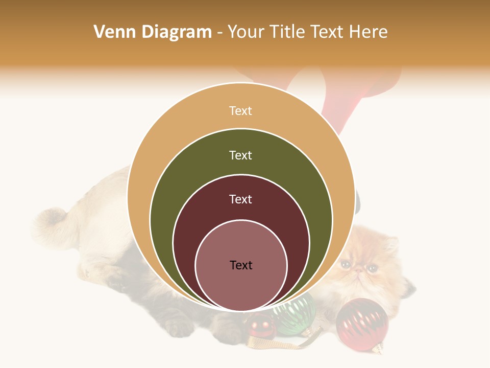 Pug Pet Purebred PowerPoint Template