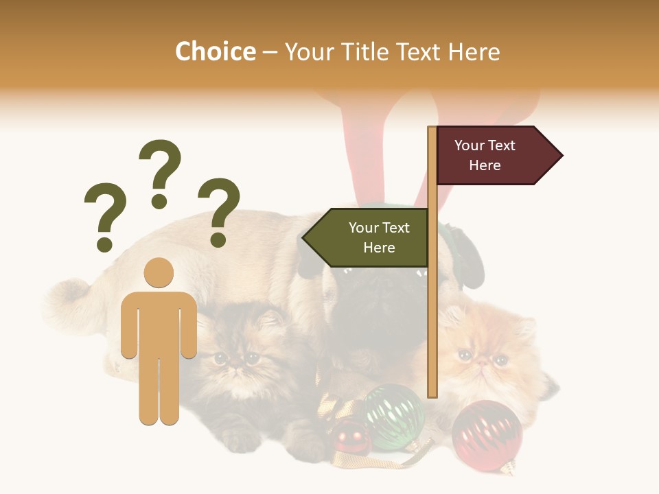 Pug Pet Purebred PowerPoint Template