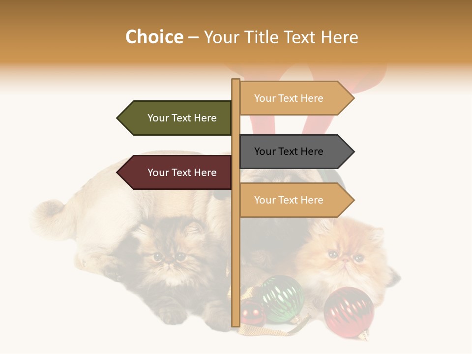 Pug Pet Purebred PowerPoint Template