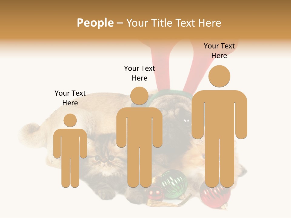 Pug Pet Purebred PowerPoint Template