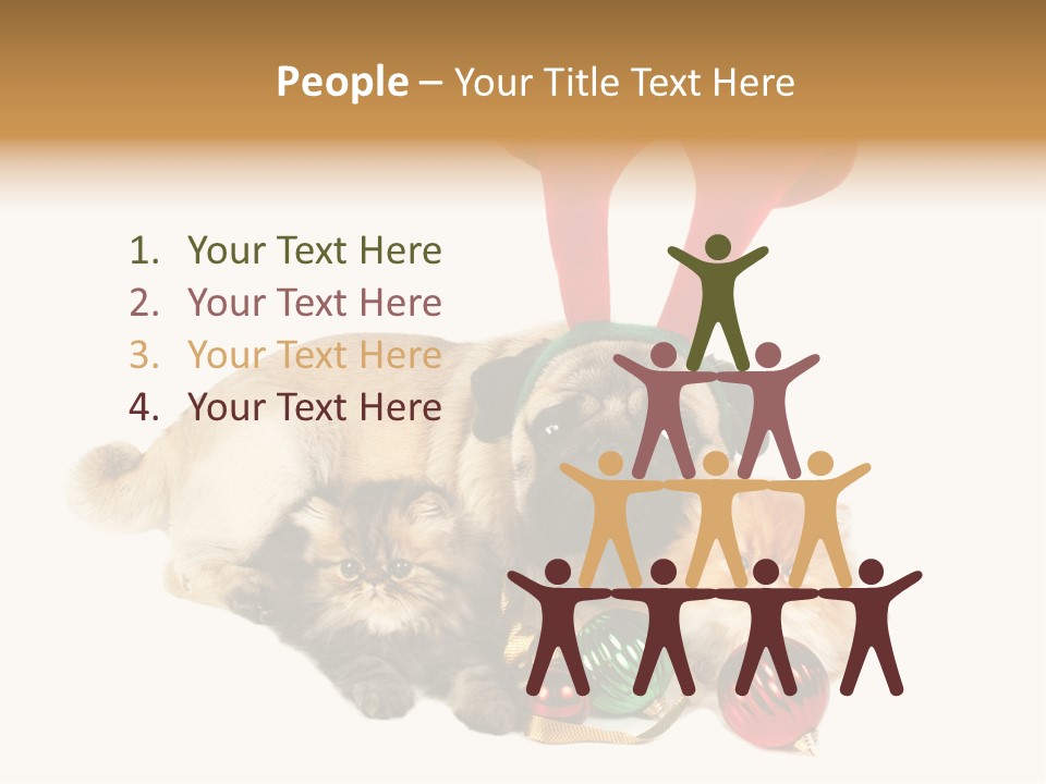 Pug Pet Purebred PowerPoint Template