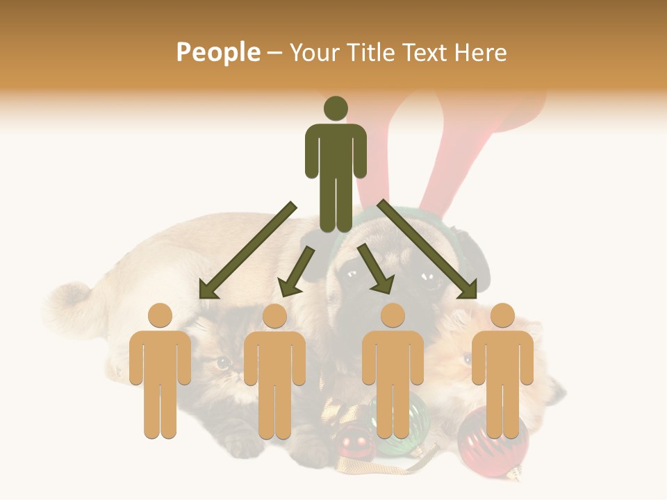 Pug Pet Purebred PowerPoint Template