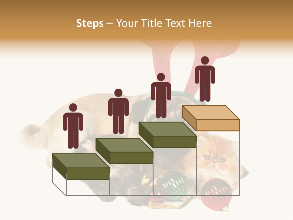 Pug Pet Purebred PowerPoint Template