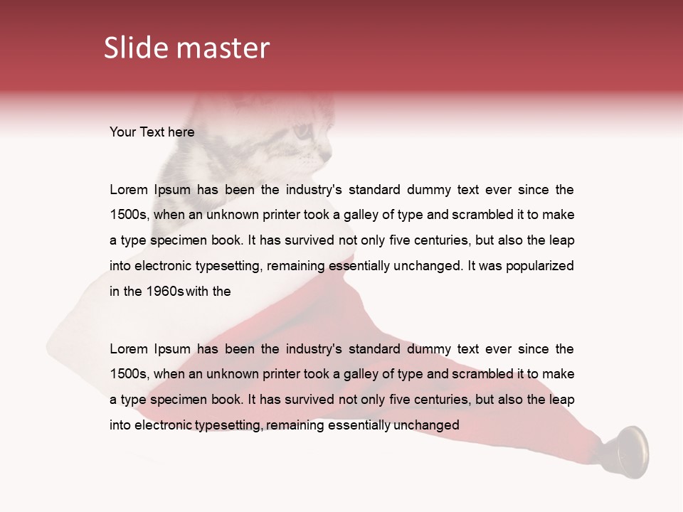 Adorable Feline Pet PowerPoint Template