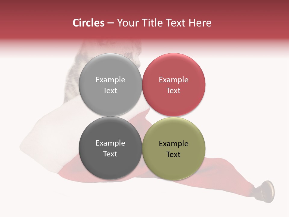 Adorable Feline Pet PowerPoint Template