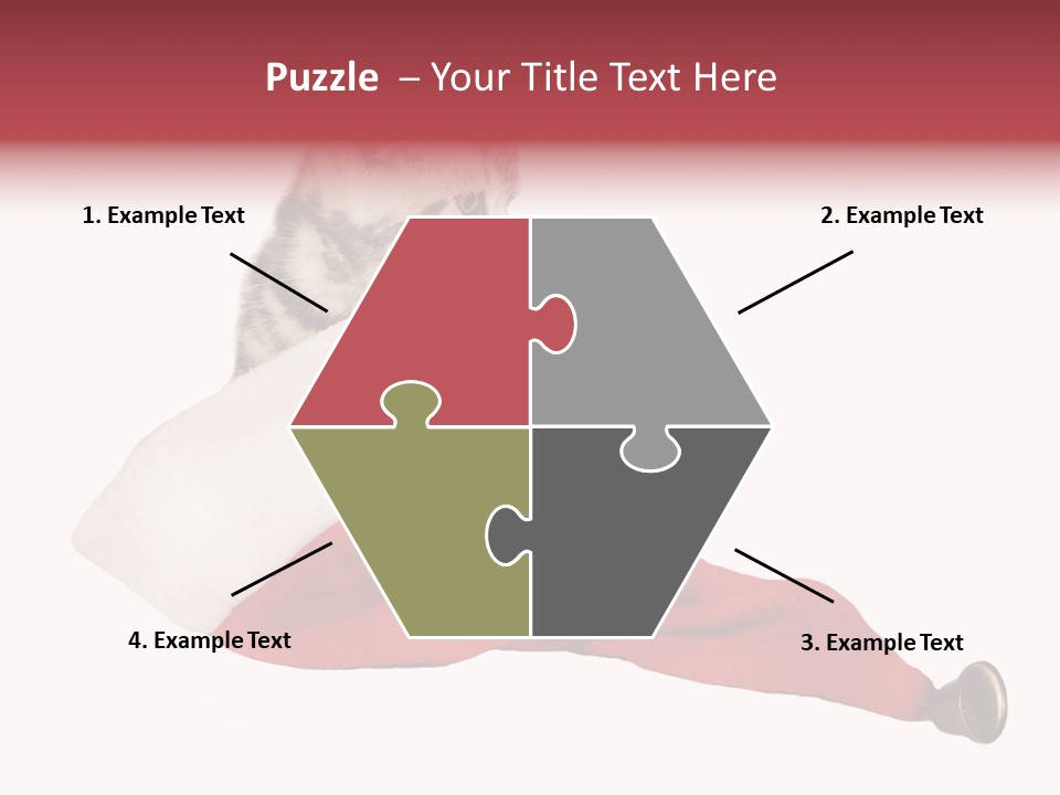 Adorable Feline Pet PowerPoint Template