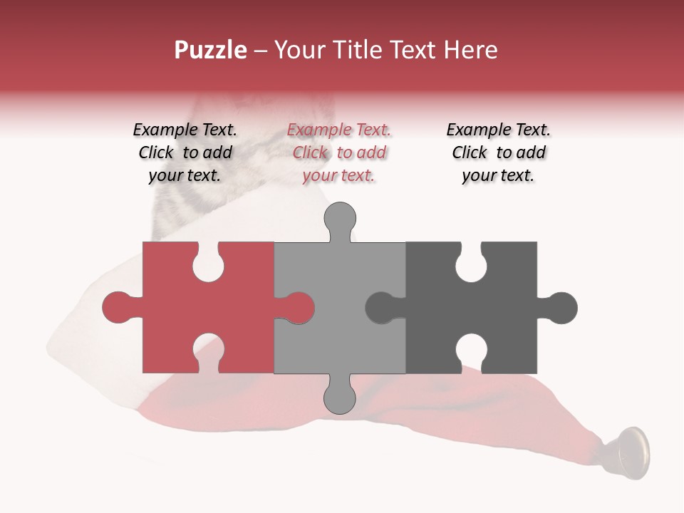 Adorable Feline Pet PowerPoint Template