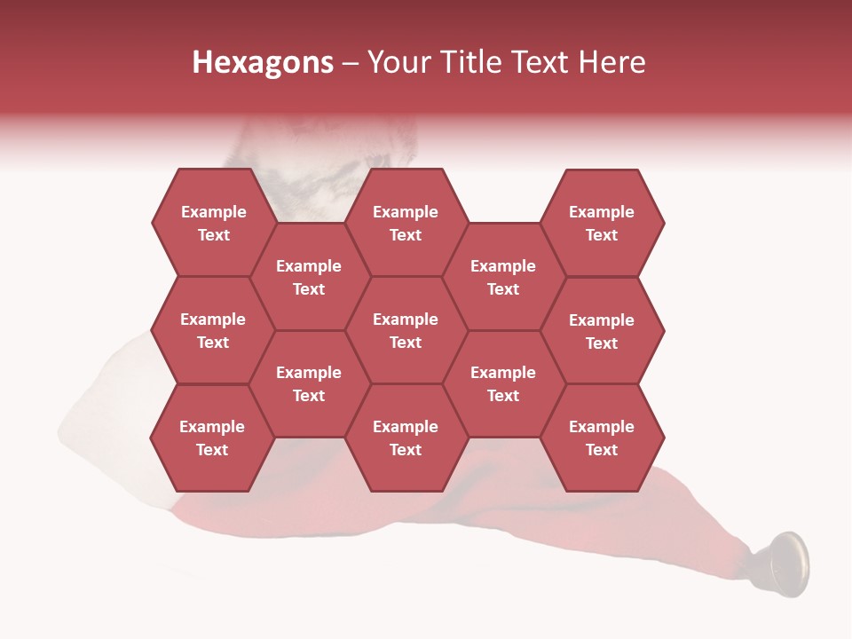 Adorable Feline Pet PowerPoint Template