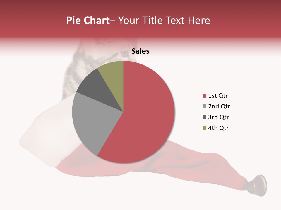 Adorable Feline Pet PowerPoint Template