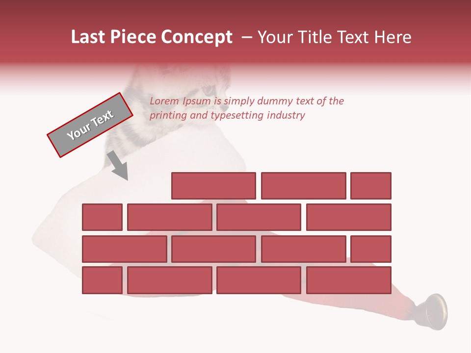 Adorable Feline Pet PowerPoint Template