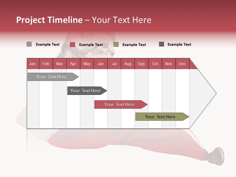 Adorable Feline Pet PowerPoint Template