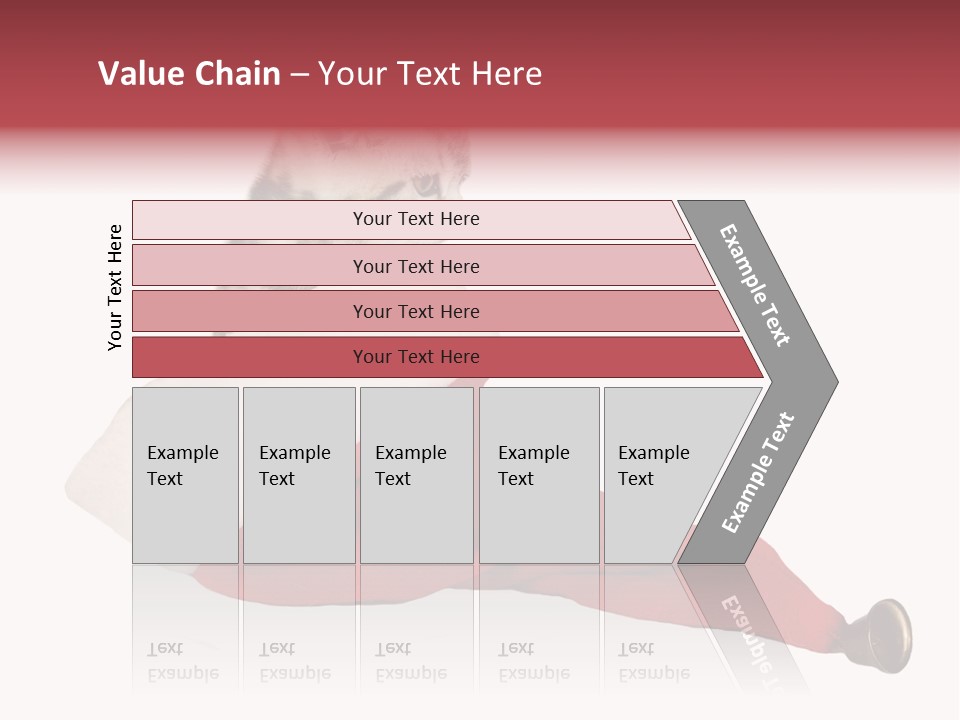 Adorable Feline Pet PowerPoint Template