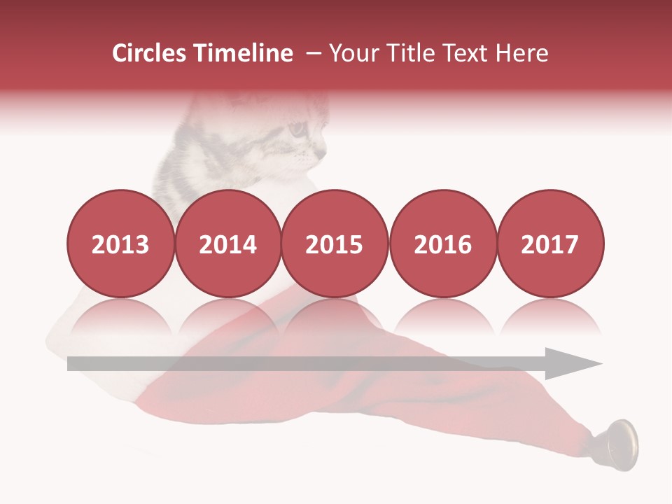 Adorable Feline Pet PowerPoint Template