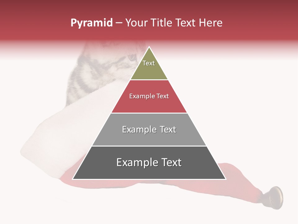 Adorable Feline Pet PowerPoint Template