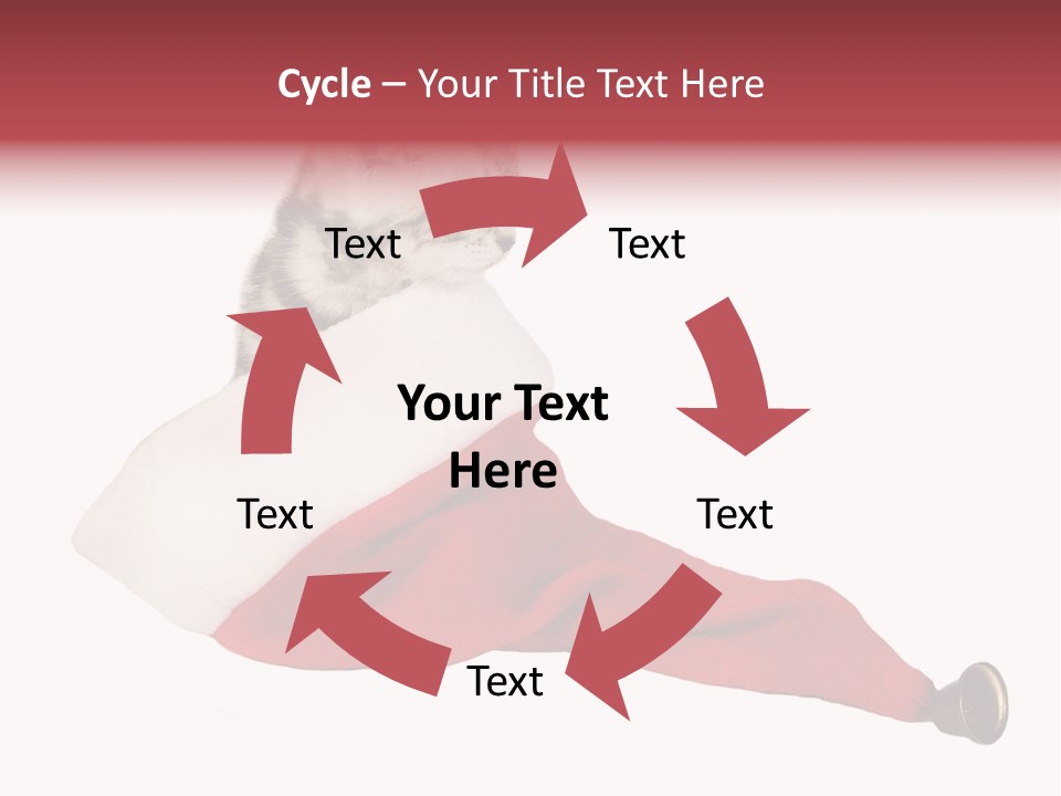 Adorable Feline Pet PowerPoint Template