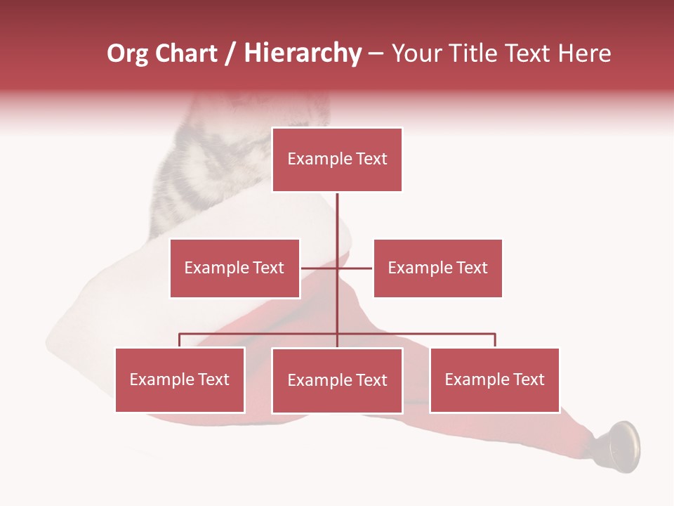 Adorable Feline Pet PowerPoint Template