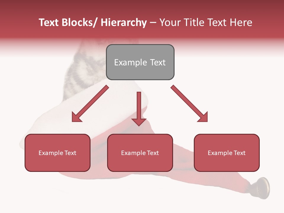 Adorable Feline Pet PowerPoint Template