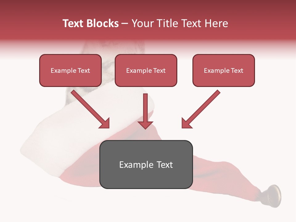Adorable Feline Pet PowerPoint Template