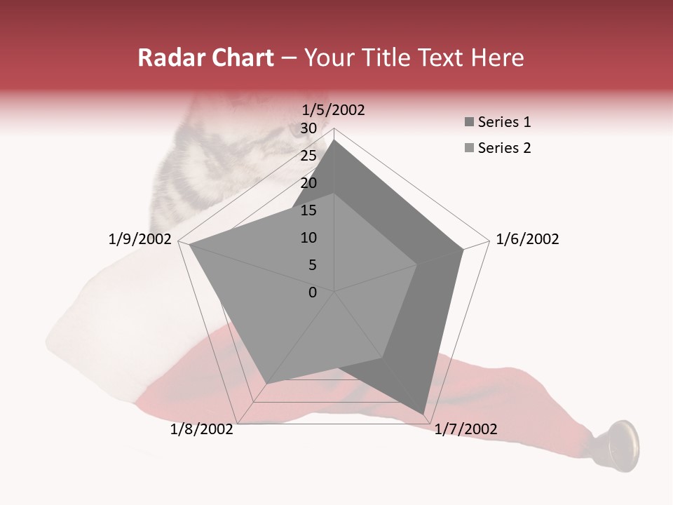 Adorable Feline Pet PowerPoint Template