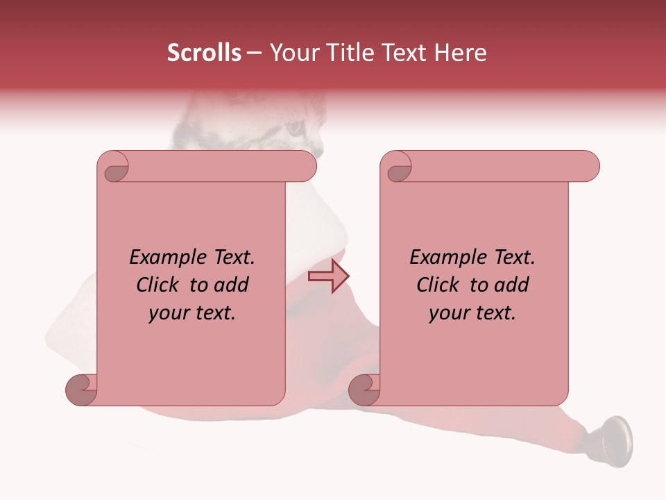 Adorable Feline Pet PowerPoint Template