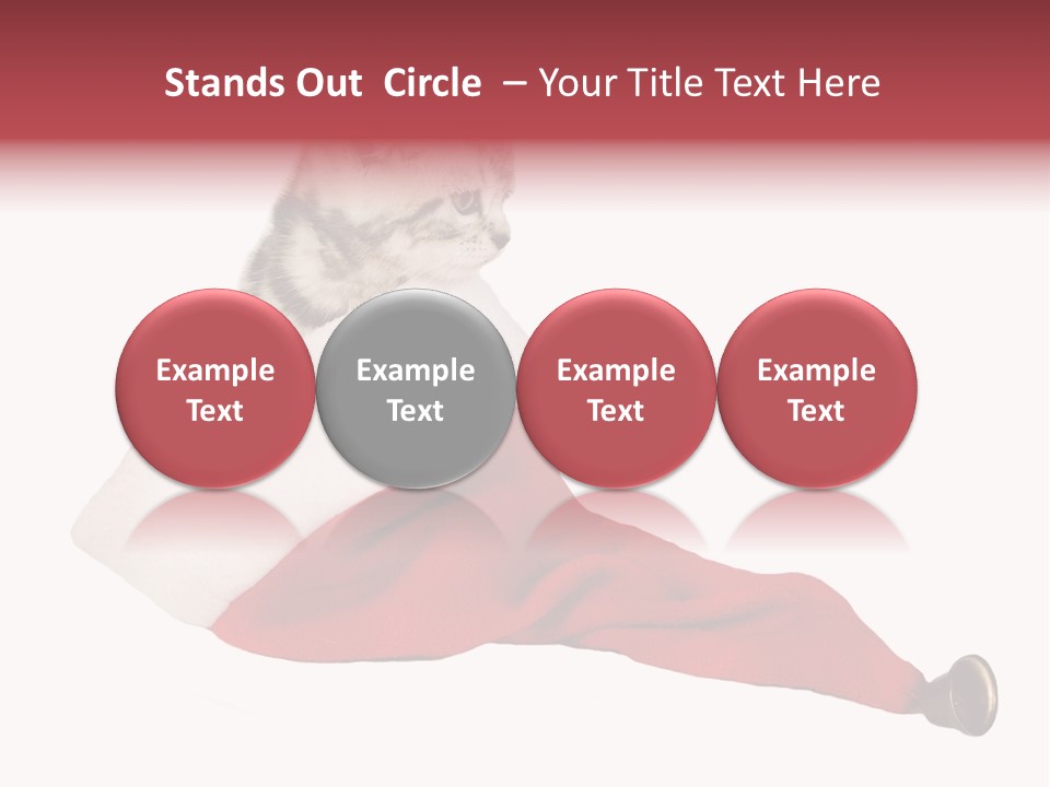 Adorable Feline Pet PowerPoint Template