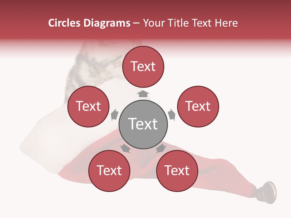 Adorable Feline Pet PowerPoint Template