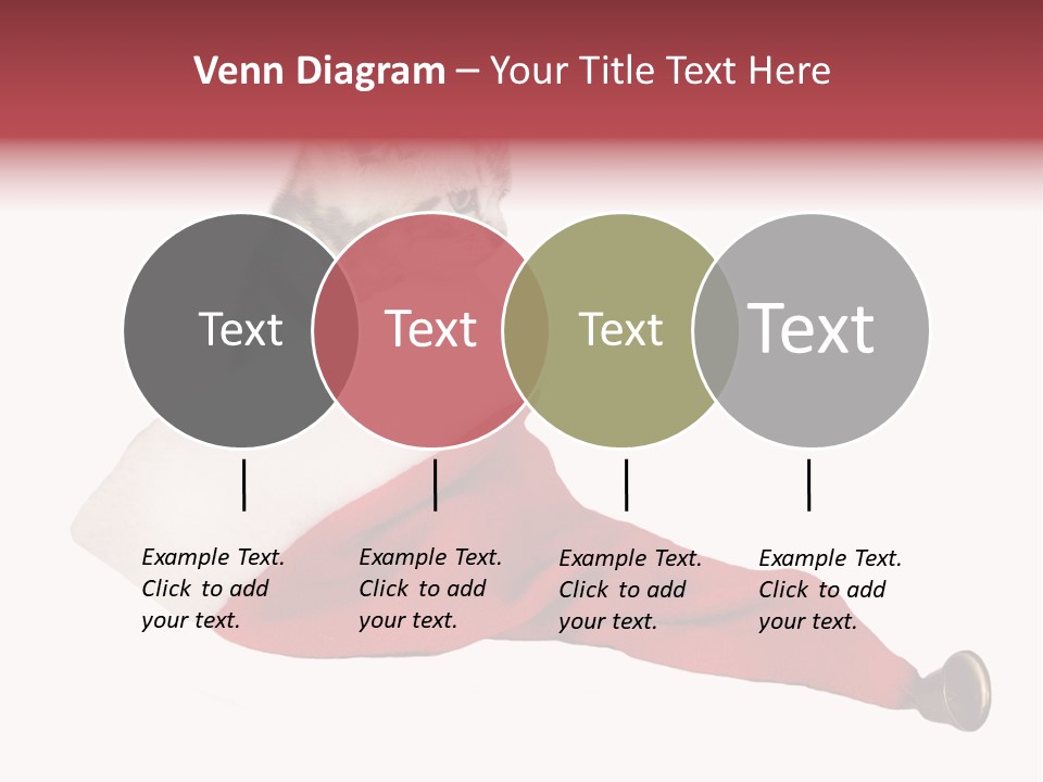 Adorable Feline Pet PowerPoint Template