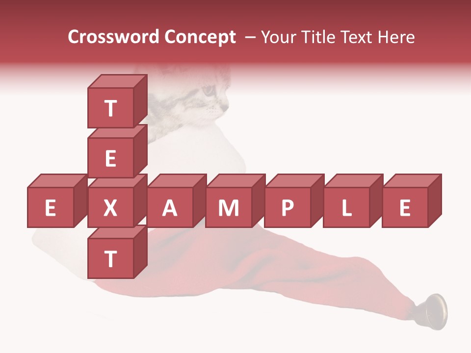 Adorable Feline Pet PowerPoint Template