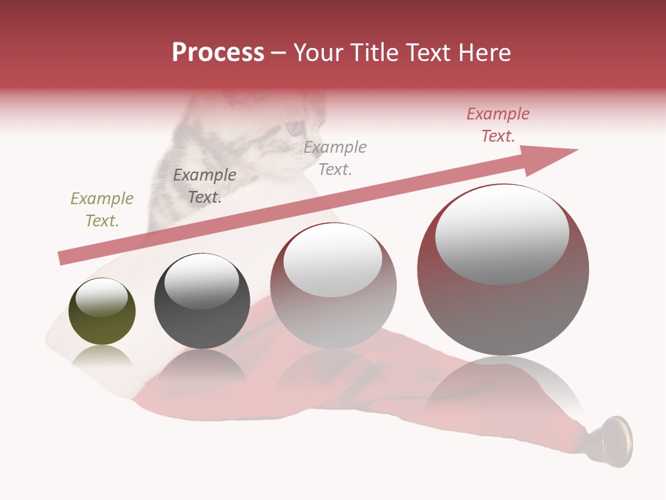 Adorable Feline Pet PowerPoint Template