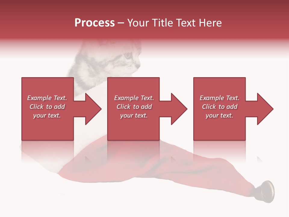 Adorable Feline Pet PowerPoint Template