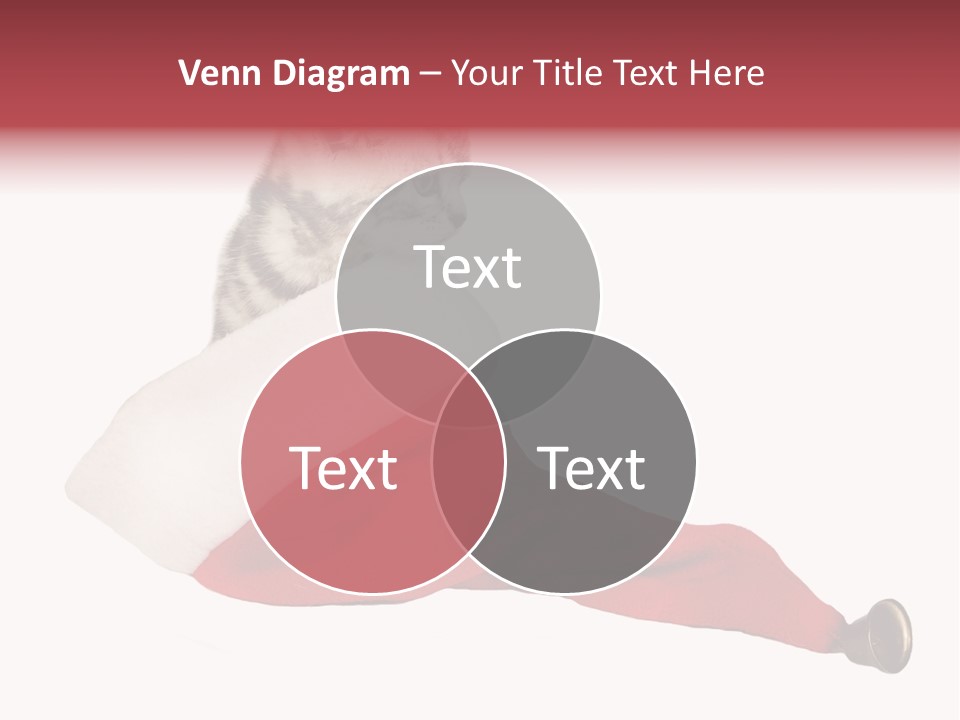 Adorable Feline Pet PowerPoint Template