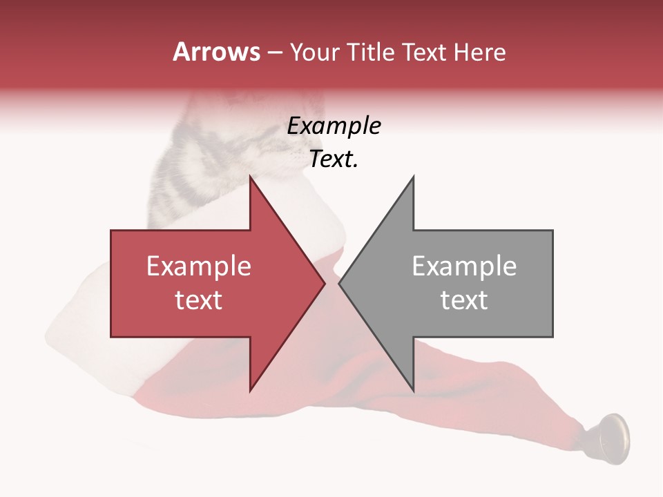 Adorable Feline Pet PowerPoint Template