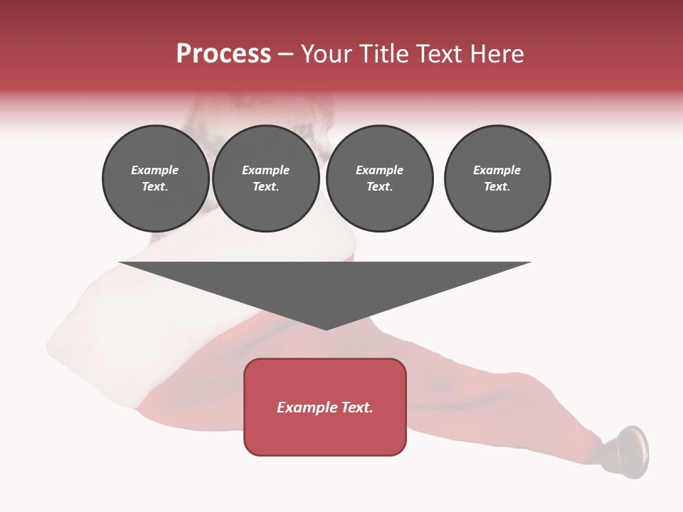 Adorable Feline Pet PowerPoint Template