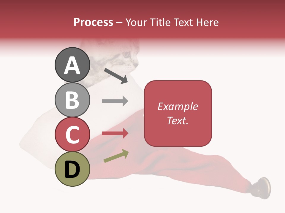 Adorable Feline Pet PowerPoint Template