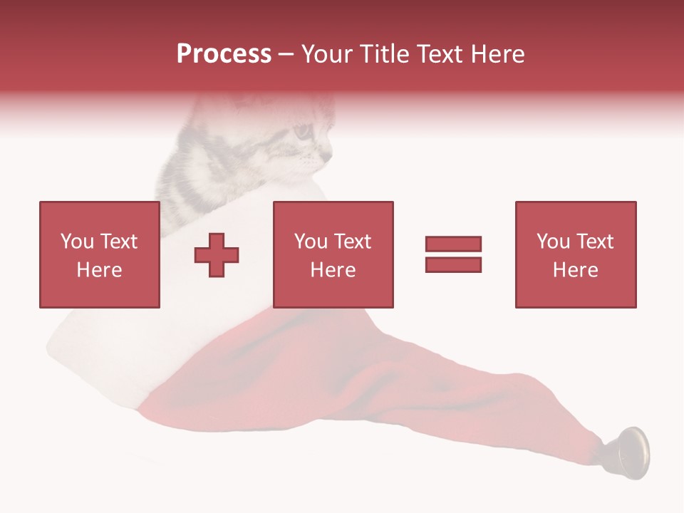 Adorable Feline Pet PowerPoint Template