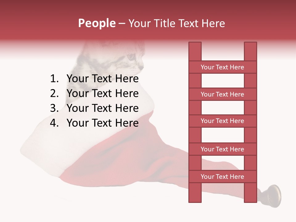 Adorable Feline Pet PowerPoint Template