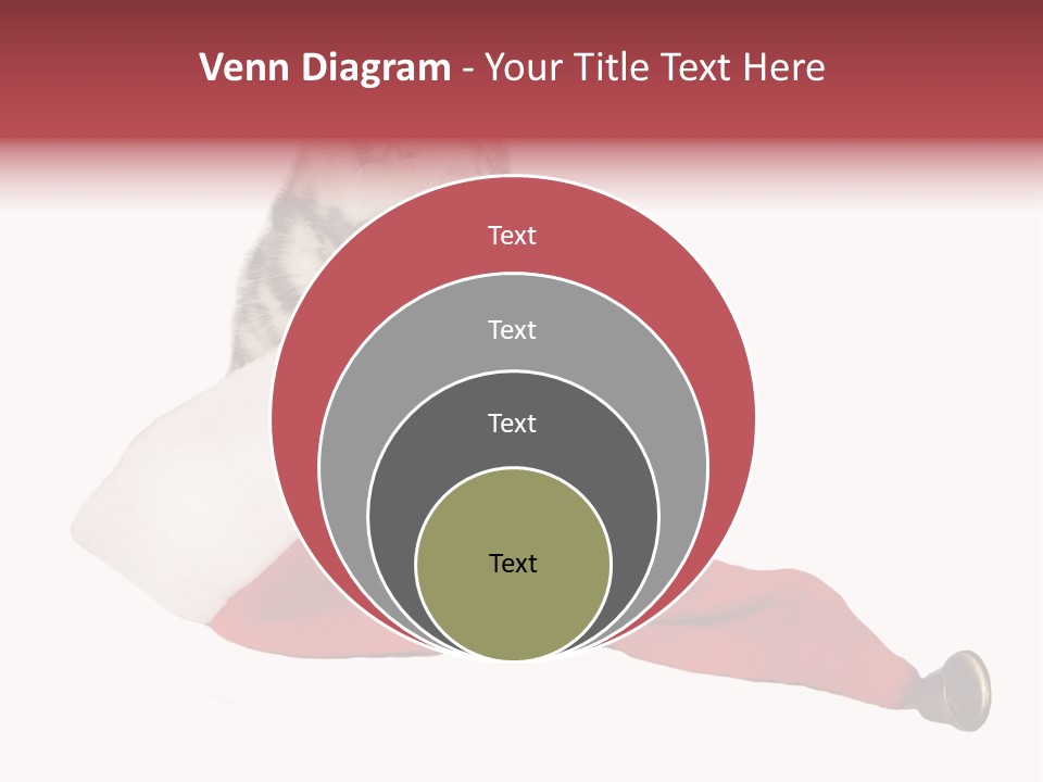 Adorable Feline Pet PowerPoint Template