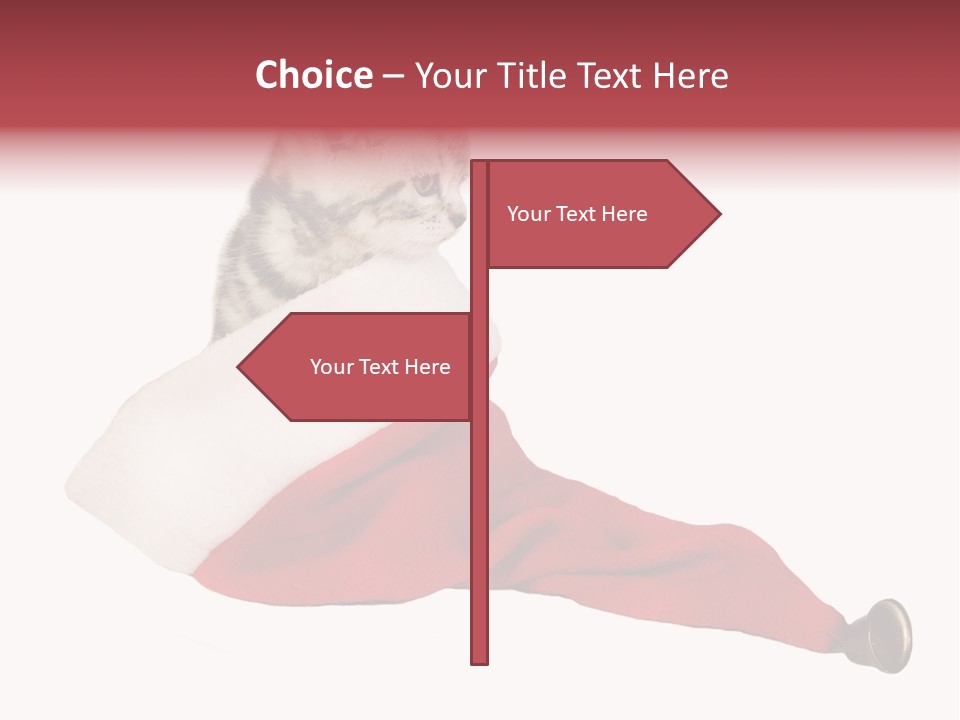 Adorable Feline Pet PowerPoint Template