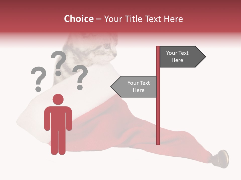 Adorable Feline Pet PowerPoint Template